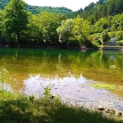 Flora&Fauna Bihac Ngoại thất bức ảnh