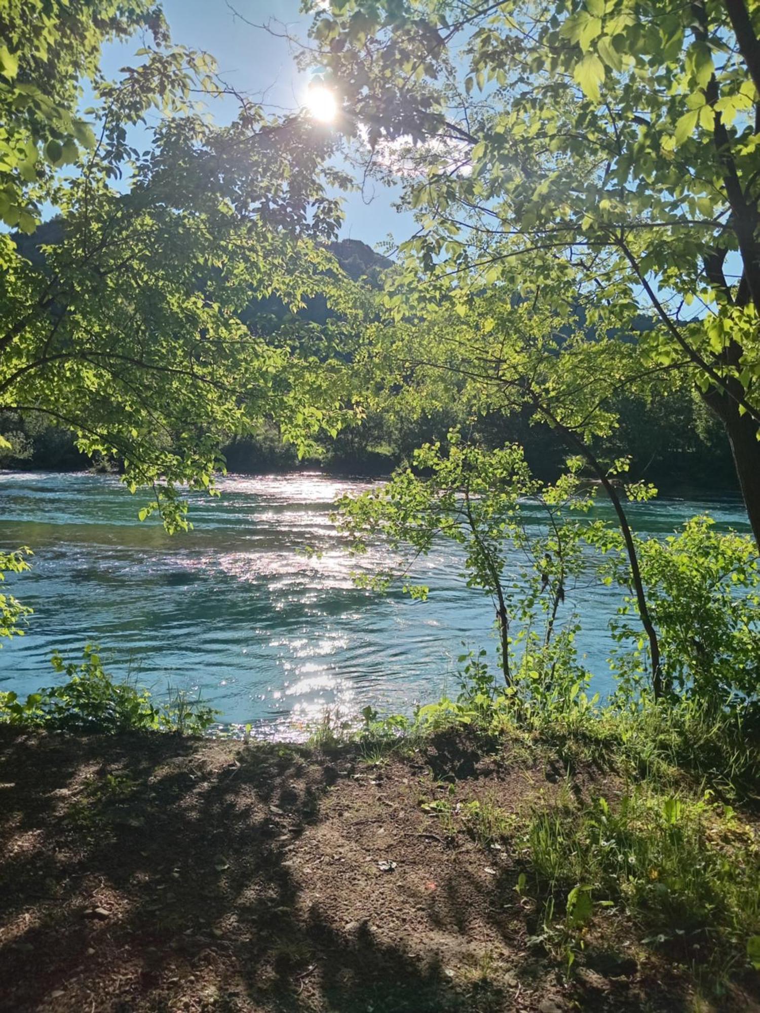 Flora&Fauna Bihac Ngoại thất bức ảnh